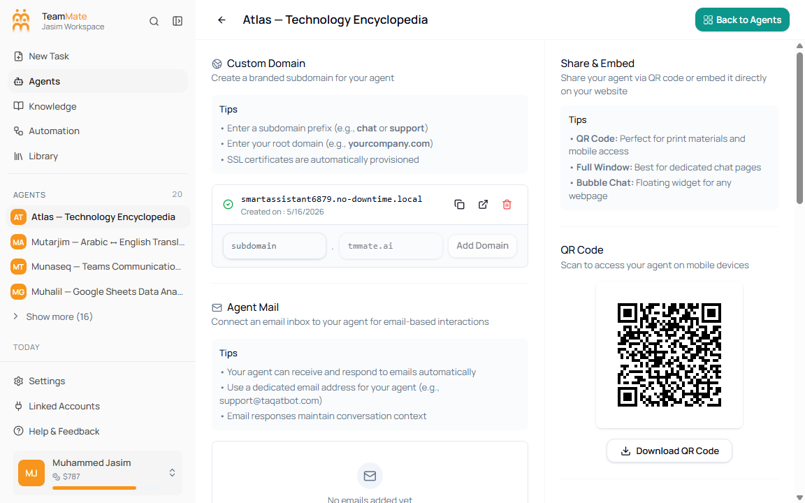 Current agent publish route showing custom domain, agent mail, API key, integrations, and share sections