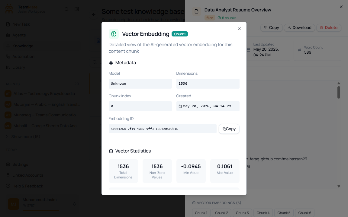 Vector Embedding dialog with metadata, vector statistics, preview values, and copy controls