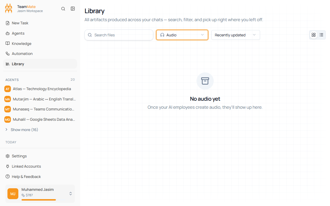 Library empty state for the Audio placeholder filter