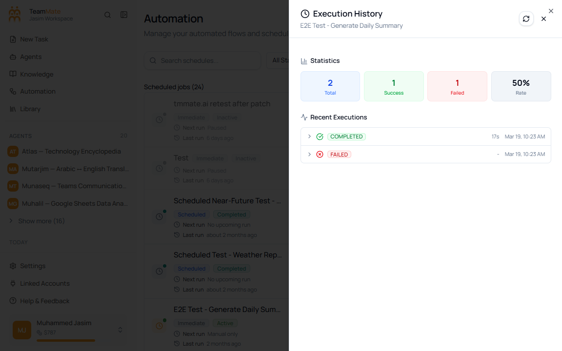 Execution History sheet for a scheduled job with summary cards and recent executions